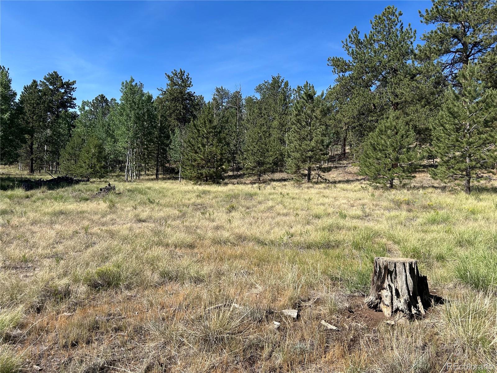 565 Hay Hook Way Hartsel, CO 80449 - Photo 4 of 11 a view of a yard with trees