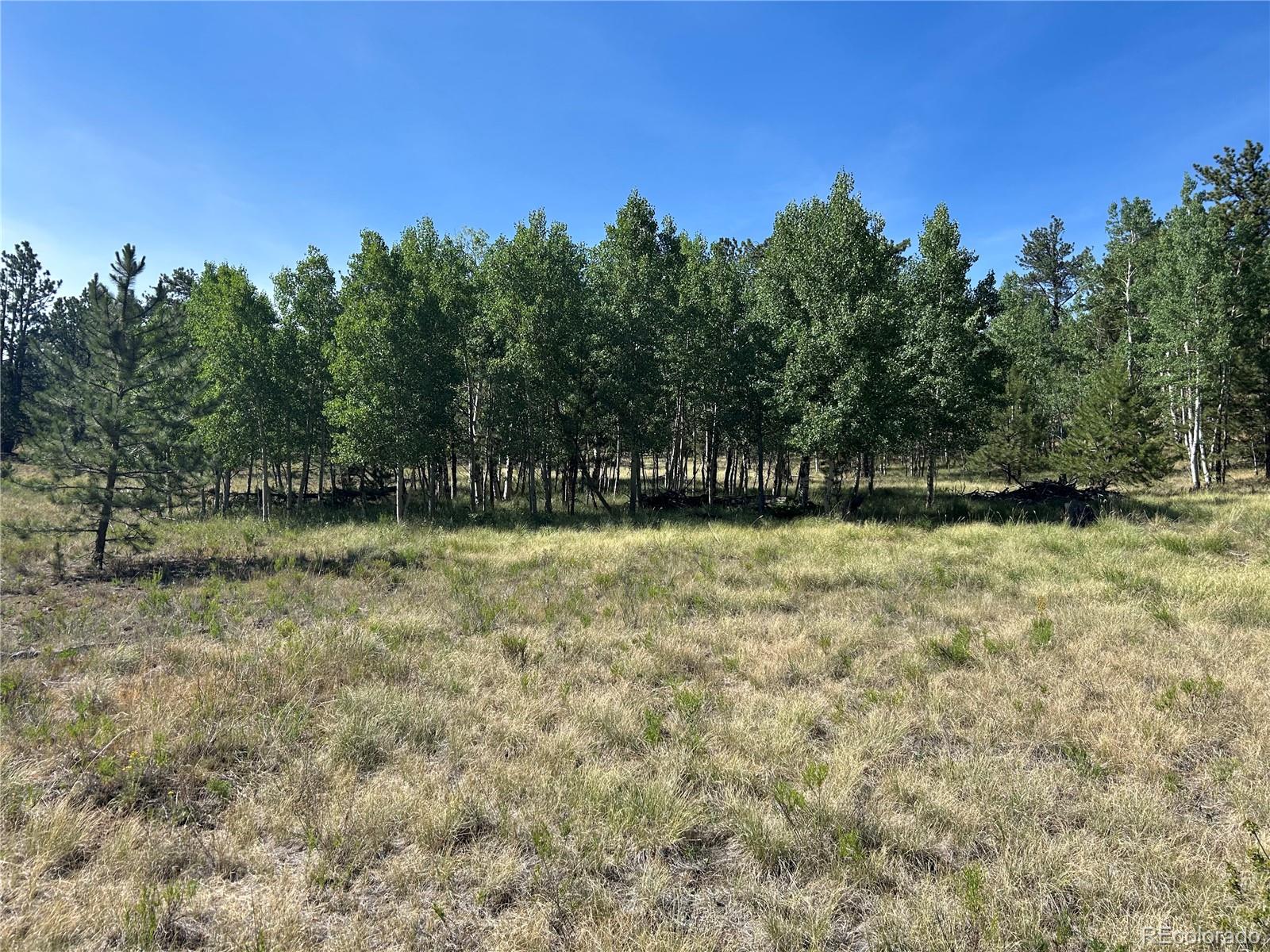 565 Hay Hook Way Hartsel, CO 80449 - Photo 6 of 11 a view of outdoor space with deck and yard