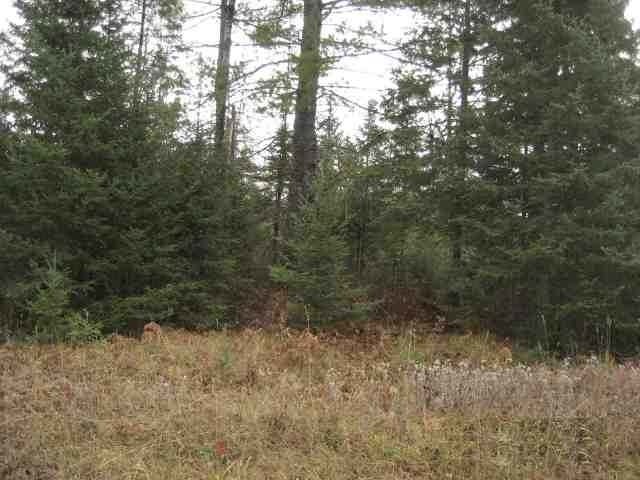 Tbd Tbd Cth Ff Mercer, WI 54547 - Photo 8 of 11 Gallery Image 8