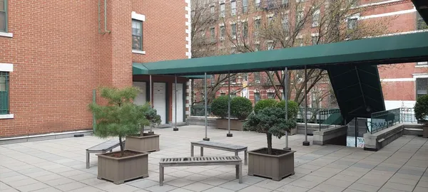 a living room with patio furniture and a potted plant