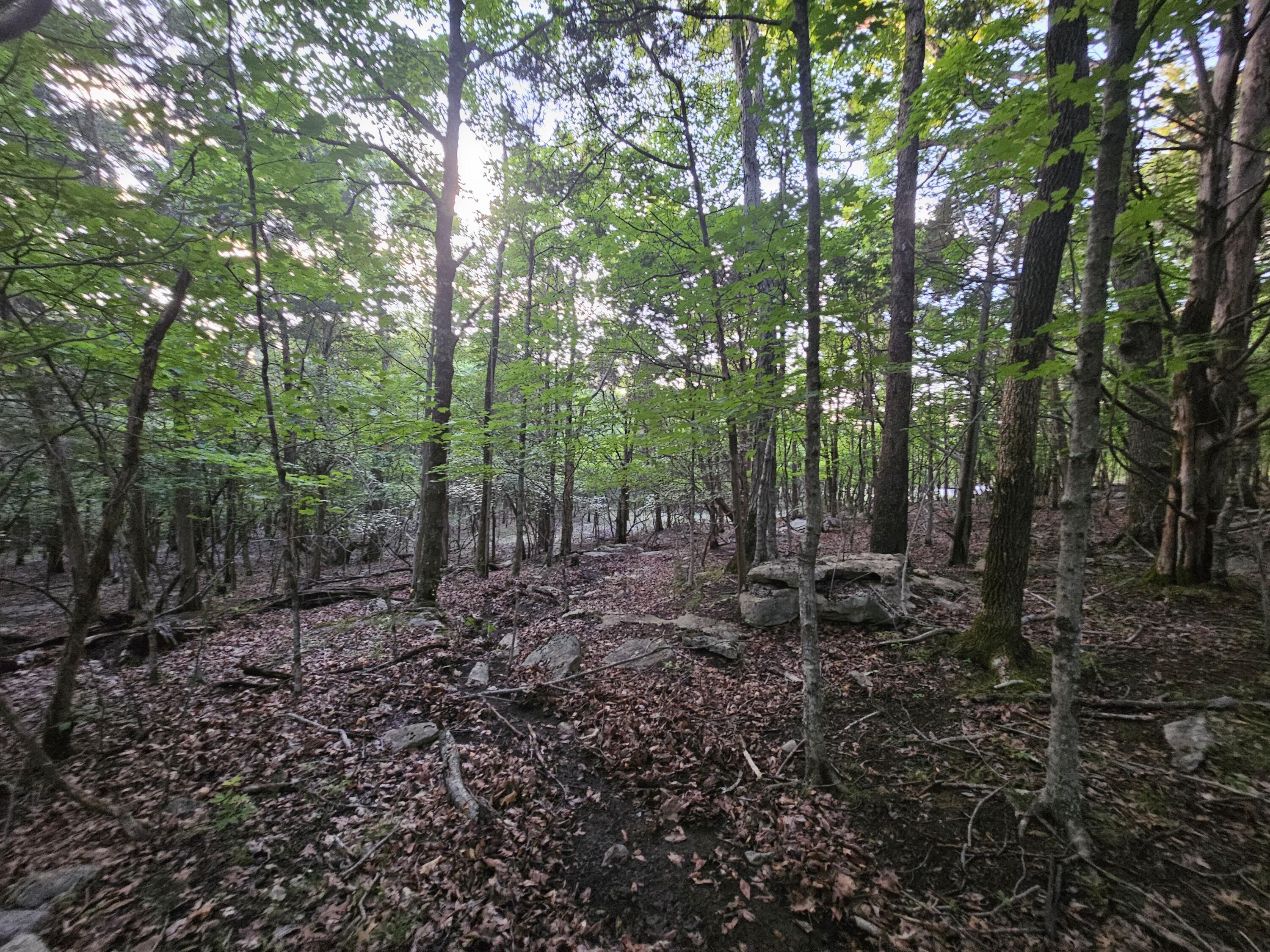 3 Sewanee Summit Road, Unit 2 AND 3 Decherd, TN 37324 - Photo 6 of 13 1000023511