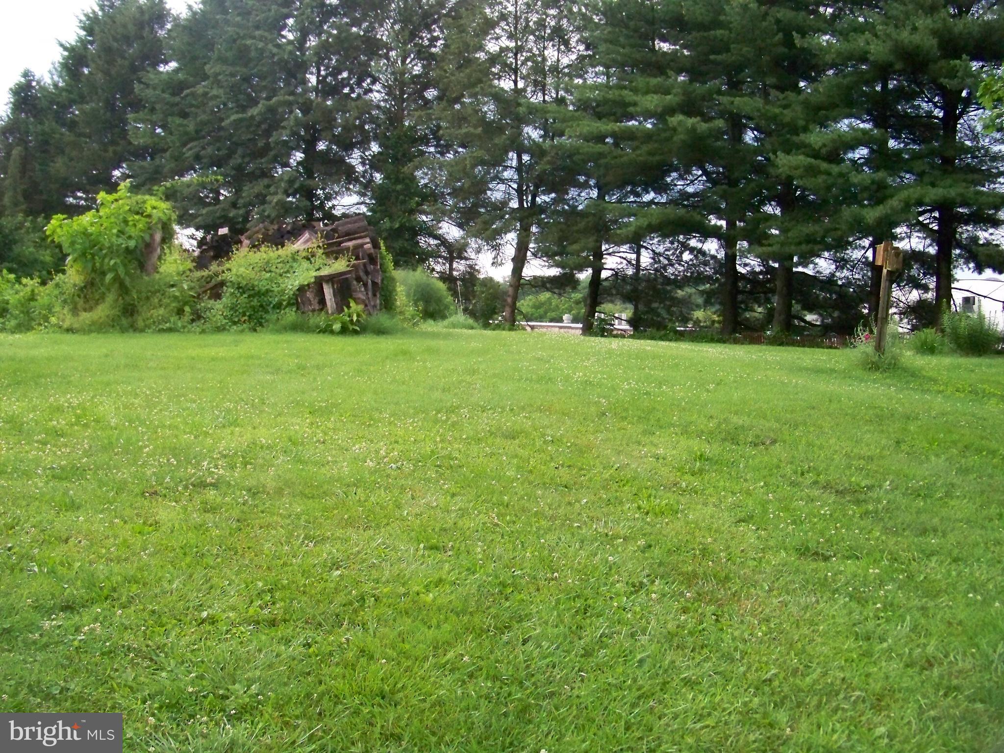 362 Buck Road Quarryville, PA 17566 - Photo 7 of 21 a view of yard with green space
