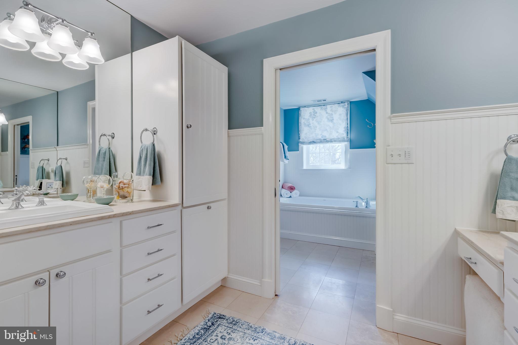 7305 Brightside Road Baltimore, MD 21212 - Photo 65 of 96 Primary bath with built-in cabentry