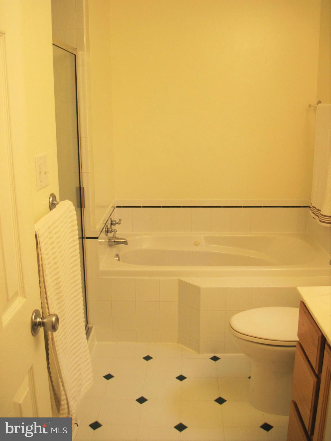 3298 Russel Run Road Locust Grove, VA 22508 - Photo 16 of 21 Bath (Master)