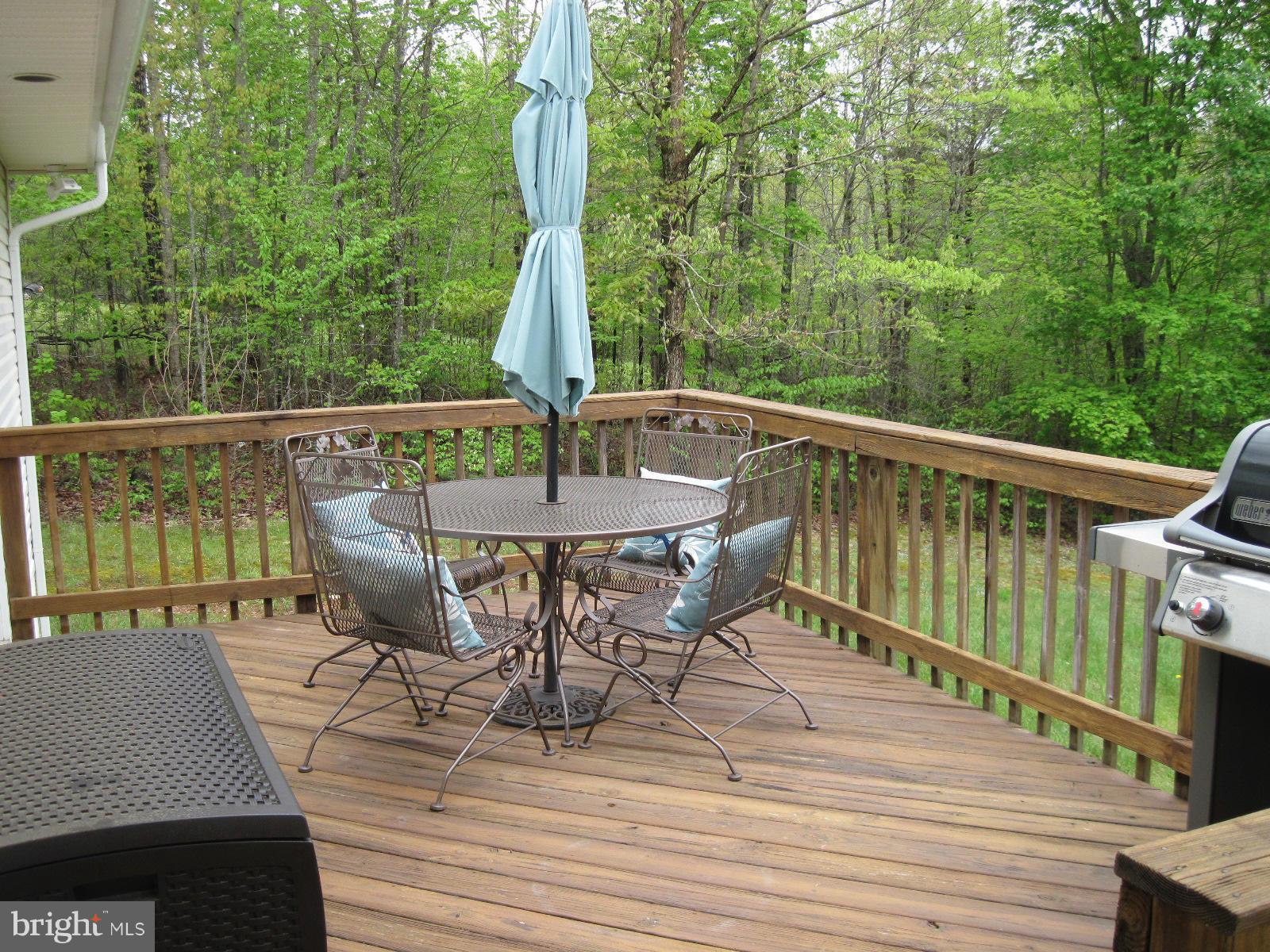 3298 Russel Run Road Locust Grove, VA 22508 - Photo 6 of 21 Exterior (Rear)