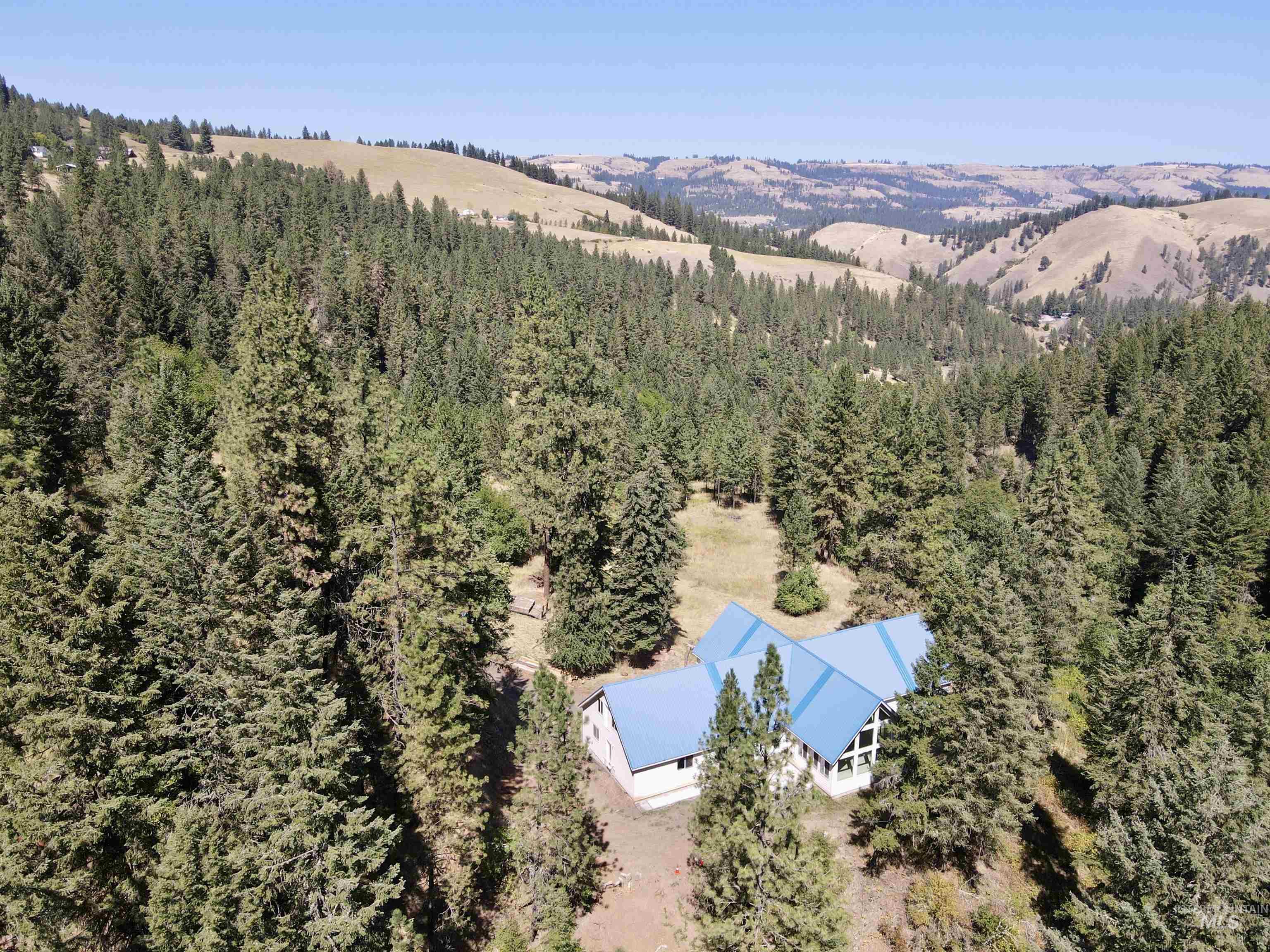 22545 Angel Ridge Road Peck, ID 83545 - Photo 3 of 50
