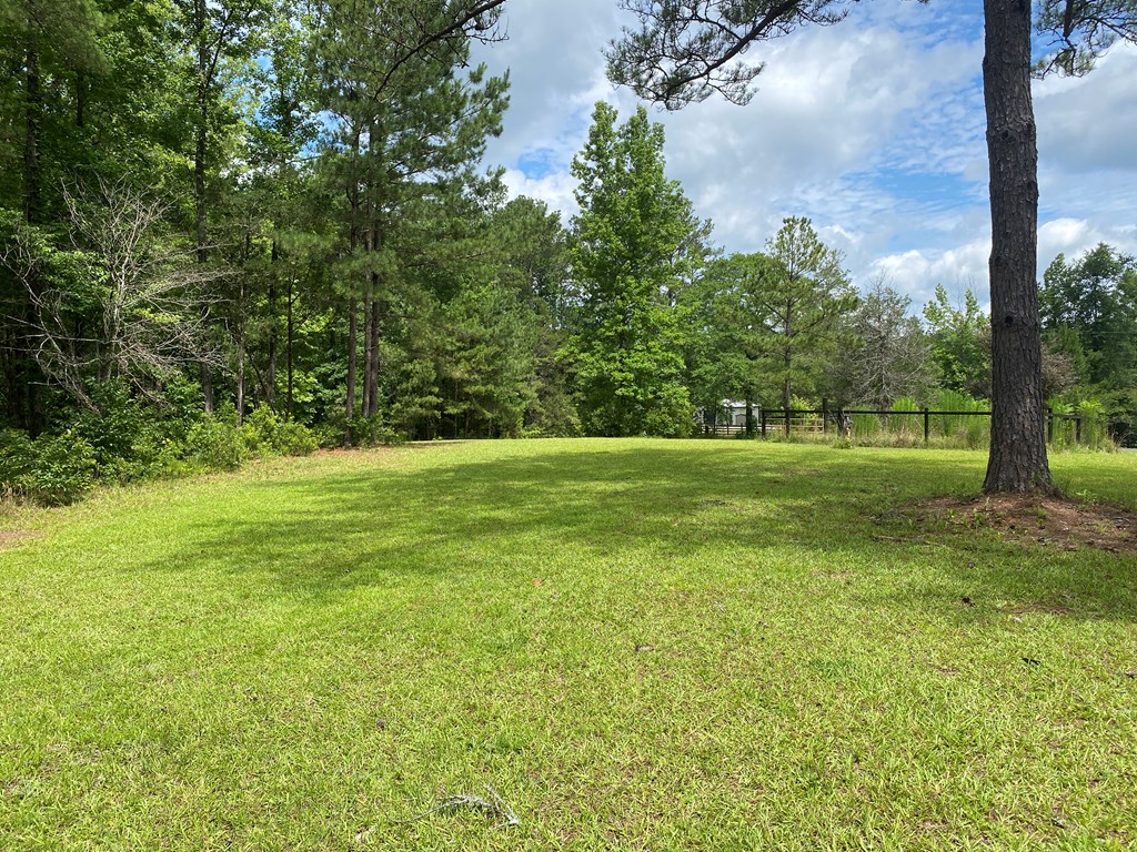 414 Airpark Road Waverly Hall, GA 31831 - Photo 3 of 38