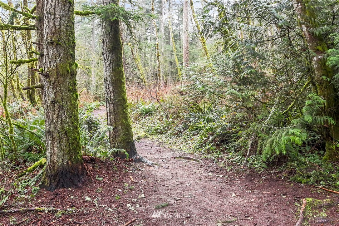 8017 Banner Road Southeast Port Orchard, WA 98367 - Photo 30 of 30 Gallery Image 30