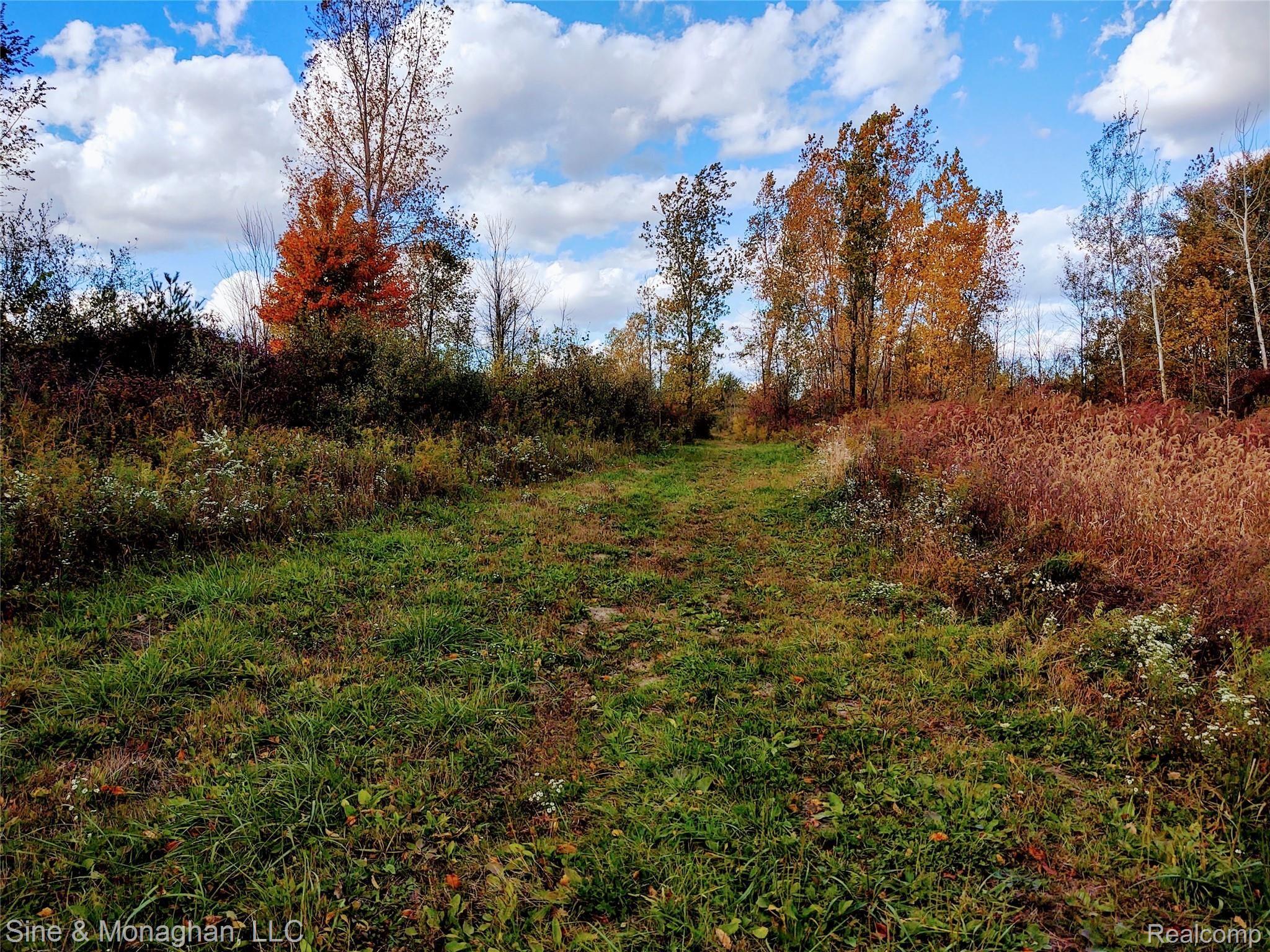 8150 Rattle Run Road Columbus, MI 48063 - Photo 29 of 38 IMG_20201007_164524262_HDR.jpg