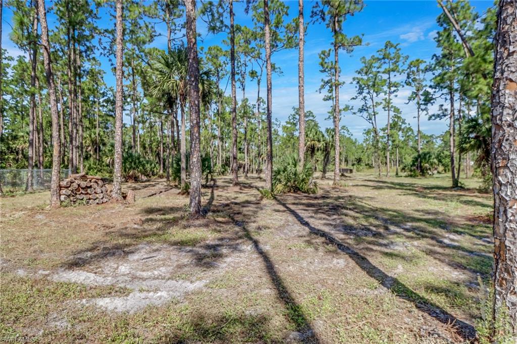 4143 2nd Avenue Northeast Naples, FL 34120 - Photo 5 of 15 a view of outdoor space with trees