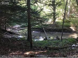 0 Huron Line Road East Minden City, MI 48456 - Photo 19 of 63 5030052560_79.jpg