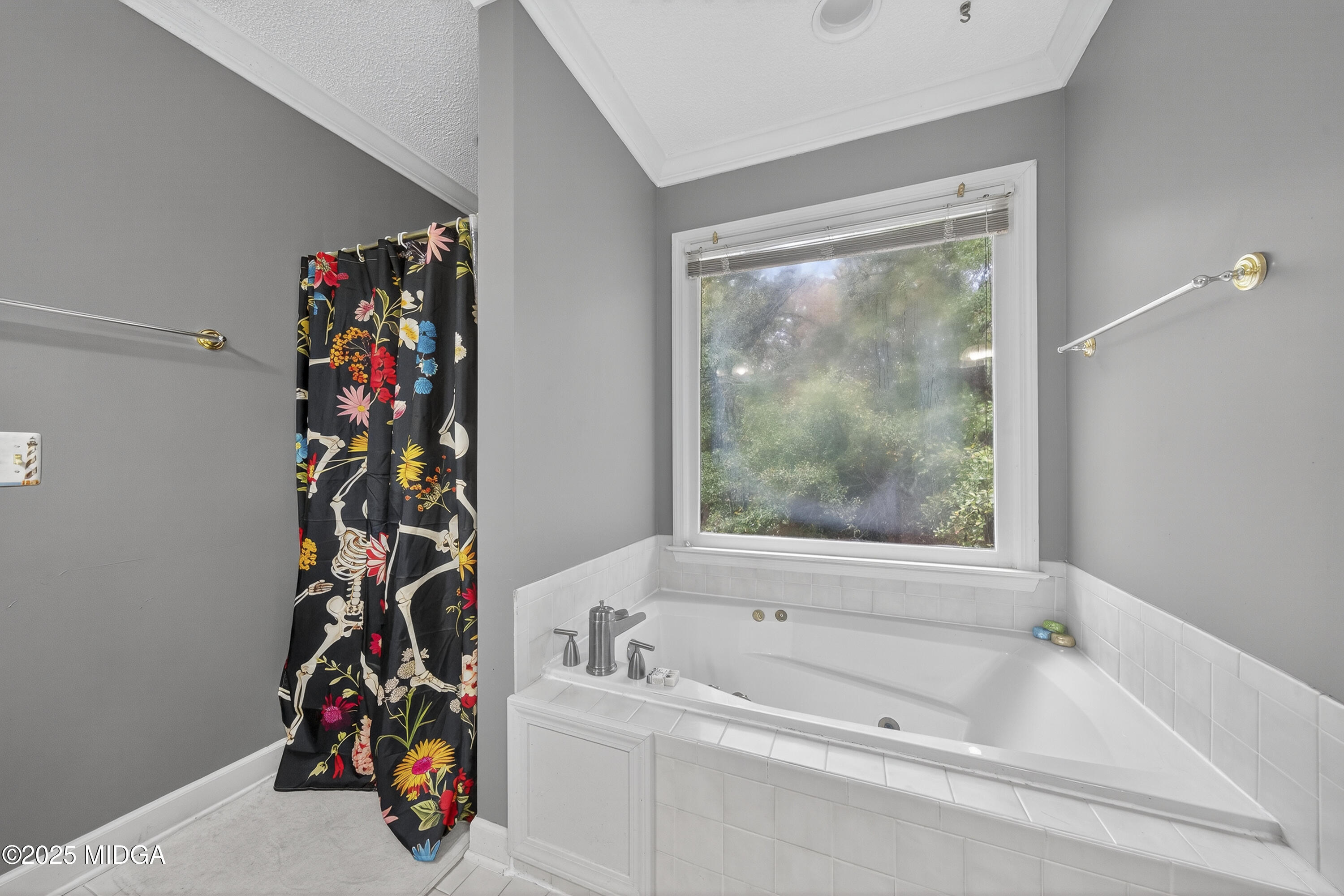 181 Rivoli Landing Macon, GA 31210 - Photo 30 of 37 a bathroom with a bathtub and a shower