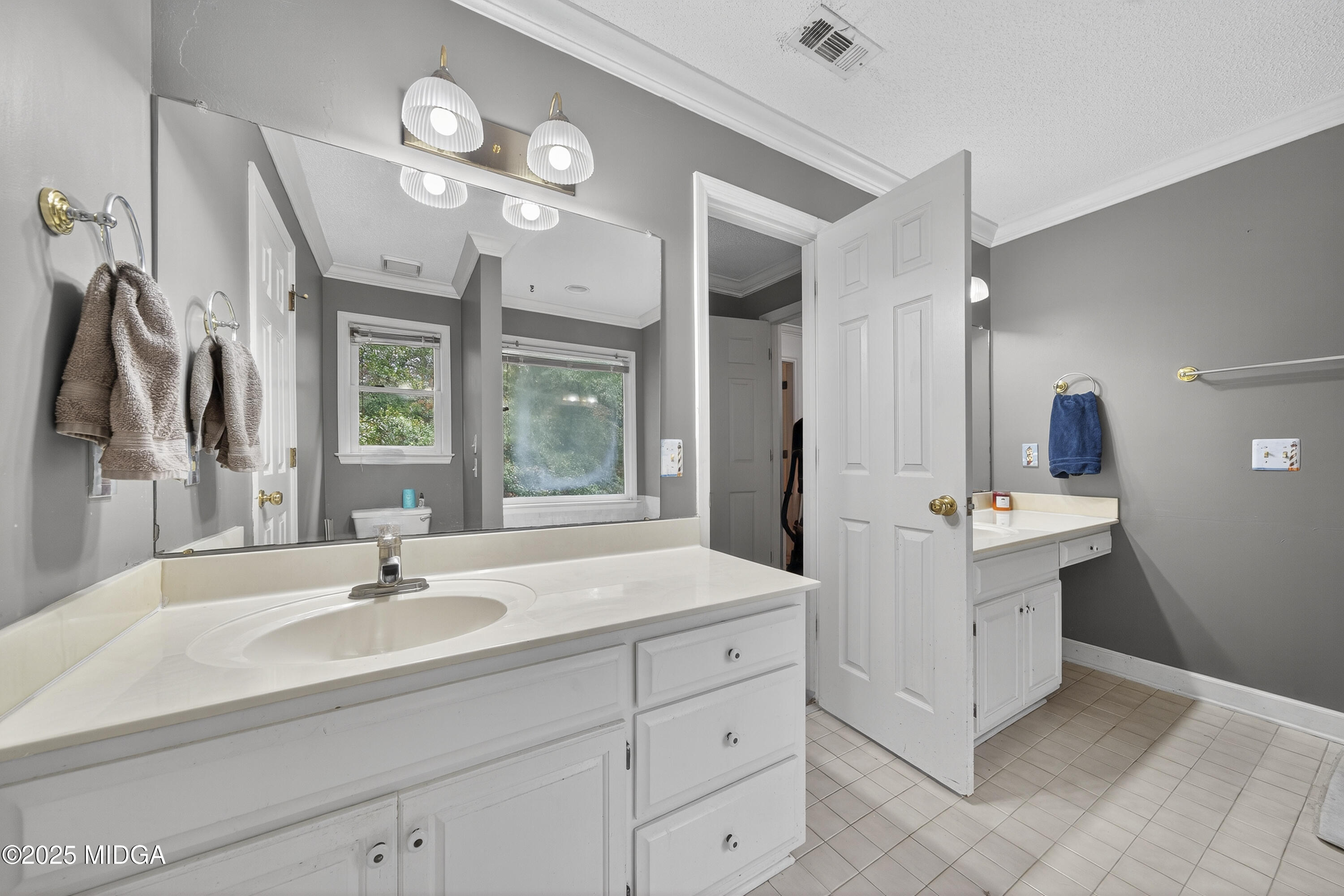 181 Rivoli Landing Macon, GA 31210 - Photo 31 of 37 a bathroom with a sink and a mirror