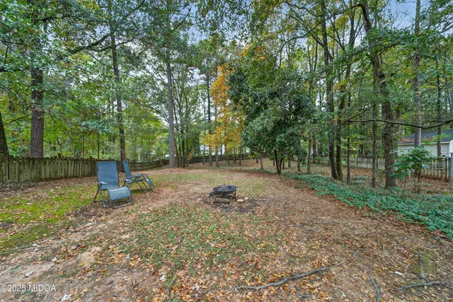 a view of a park with large trees
