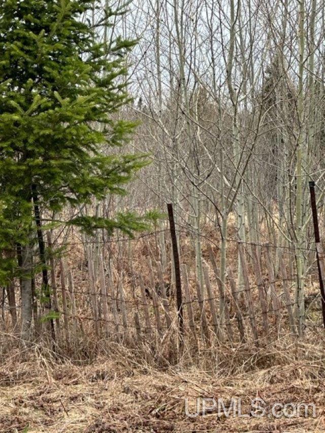 Tbd Tbd M-95 Channing, MI 49815 - Photo 3 of 6