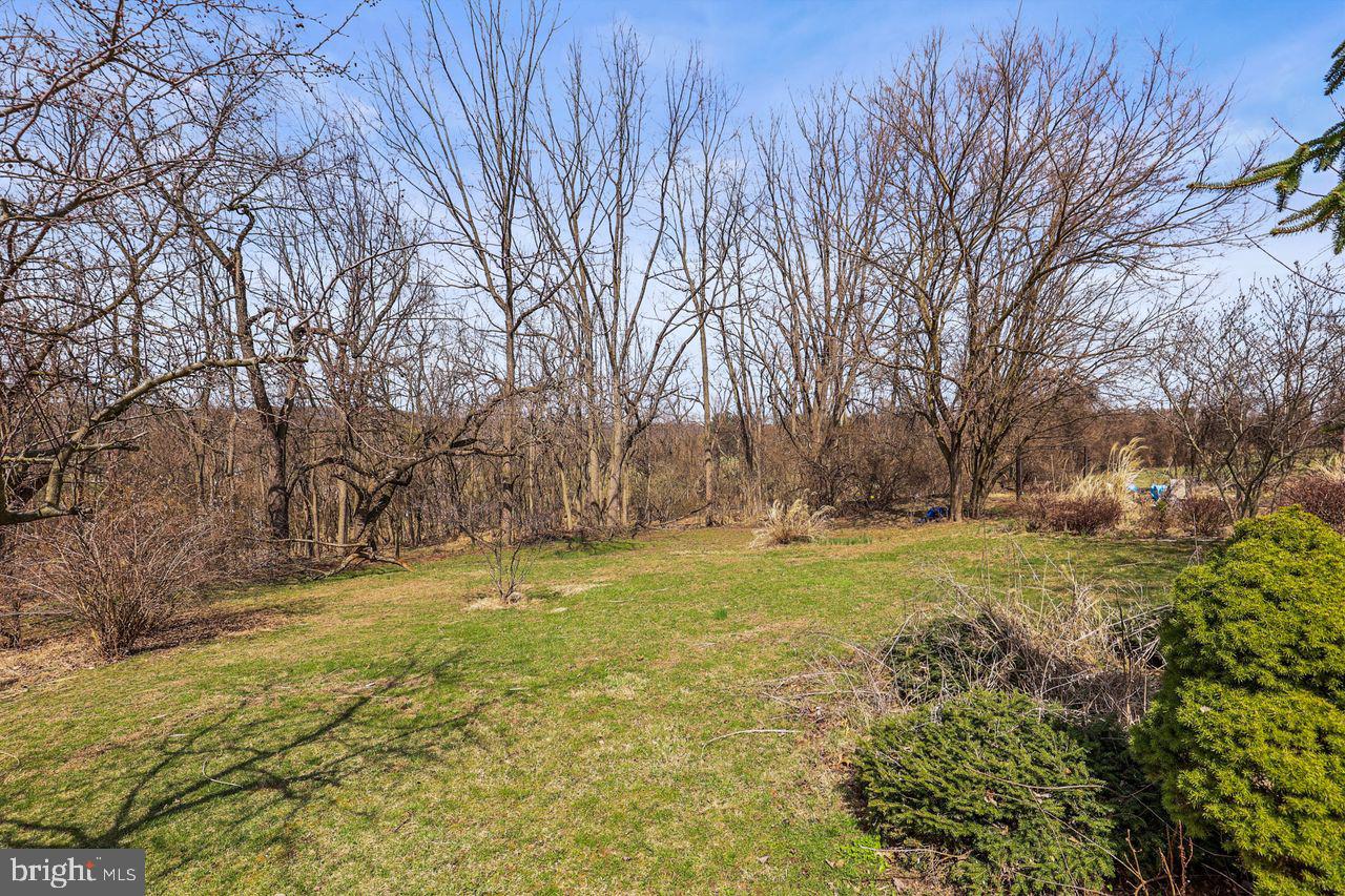 3051 Druck Valley Road York, PA 17406 - Photo 31 of 33 Serene landscape with bare trees.