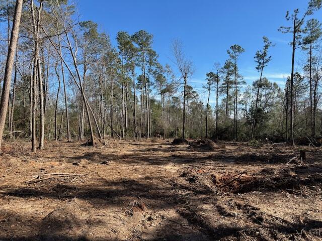 2066 Mims Road Hephzibah, GA 30815 - Photo 11 of 13 IMG_5552