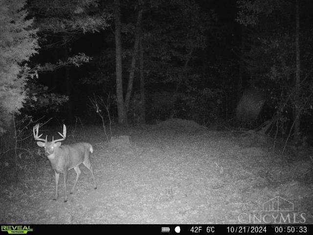 0 Harriet Road Hillsboro, OH 45133 - Photo 20 of 96