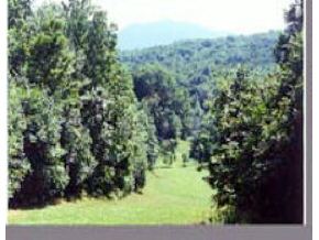 157 Scottsville Road Danby, VT 05739 - Photo 1 of 1 Gallery Image 1