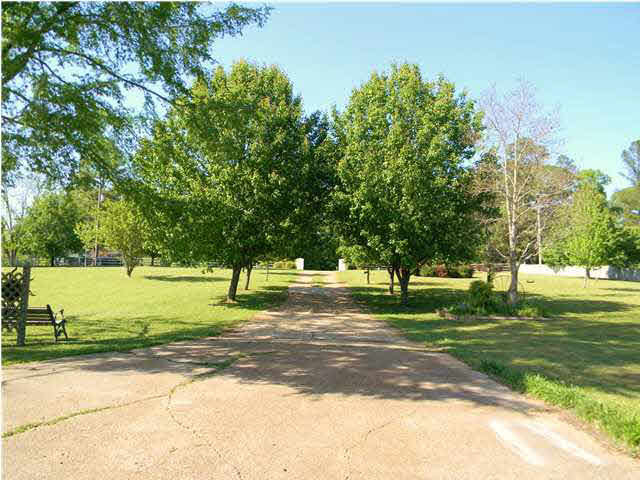 585 Cleary Road Richland, MS 39073 - Photo 23 of 25 View from your driveway