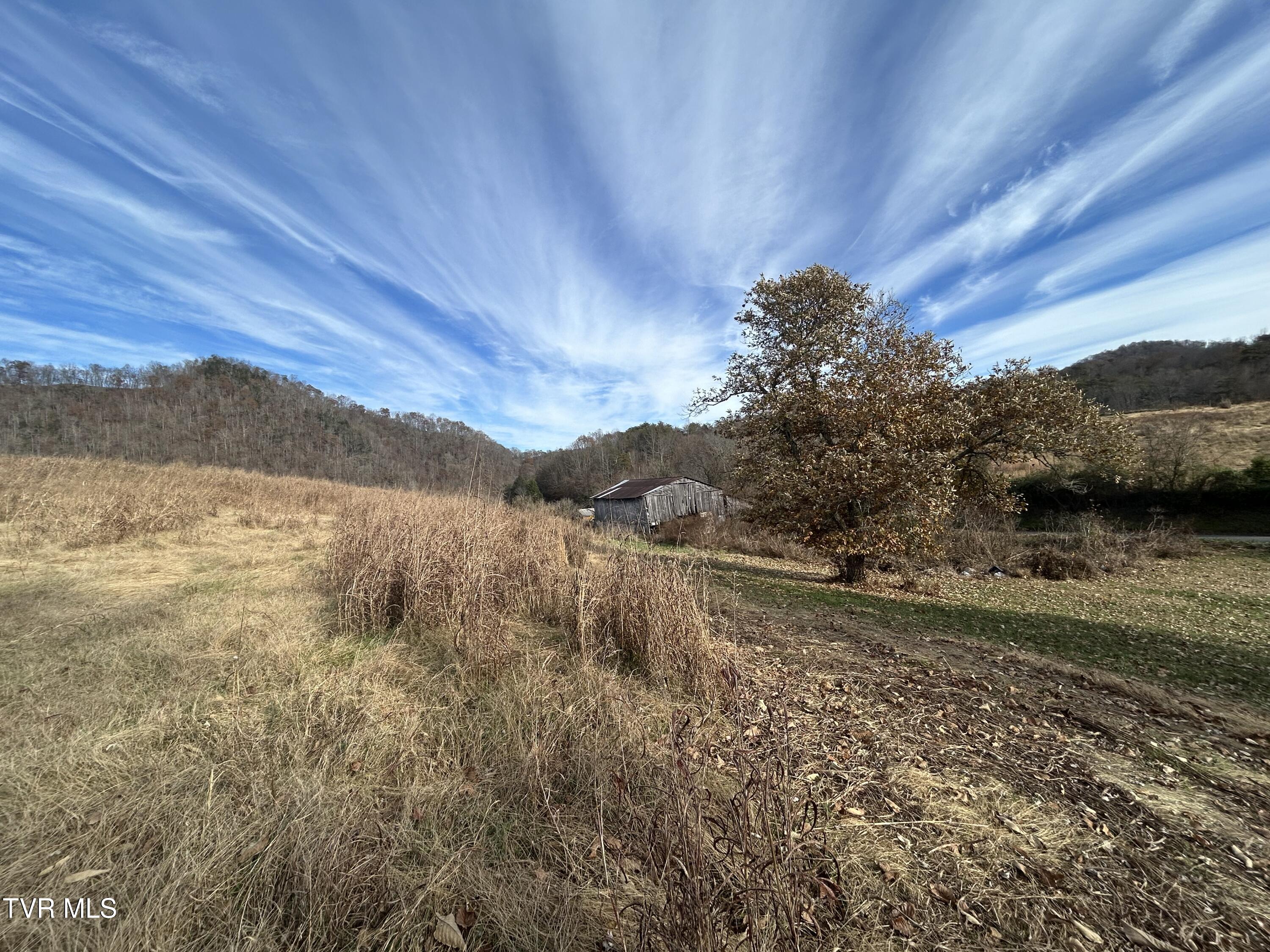 2151 Horton Ford Road Eidson, TN 37731 - Photo 23 of 54 IMG_6783