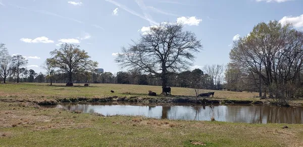 $454,050 | 716 Augusta Road, Edgefield, SC 29824