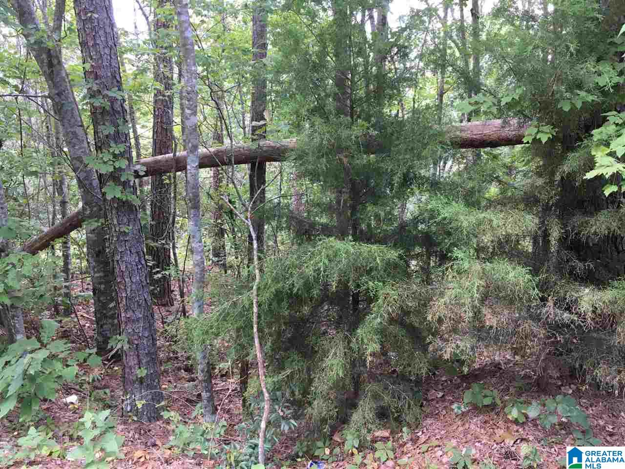 Lot 14 Overlook Road, Unit LOT 14 Blountsville, AL 35031 - Photo 1 of 1