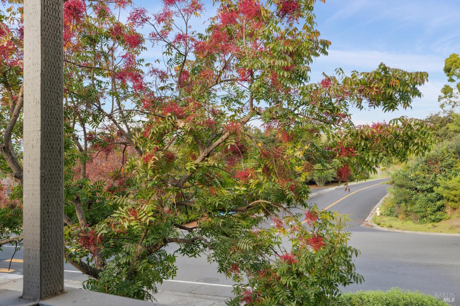 900 Southampton Road, Unit 2 Benicia, CA 94510 - Photo 29 of 34