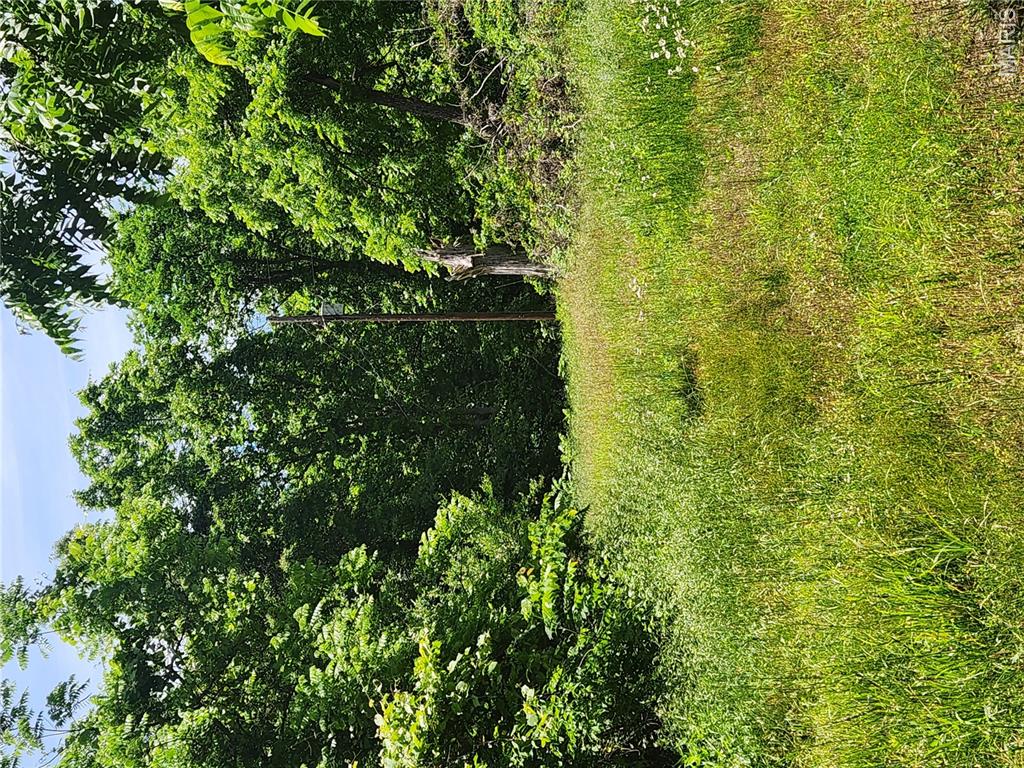 30620 Harbor Road Richland, MO 65556 - Photo 32 of 42