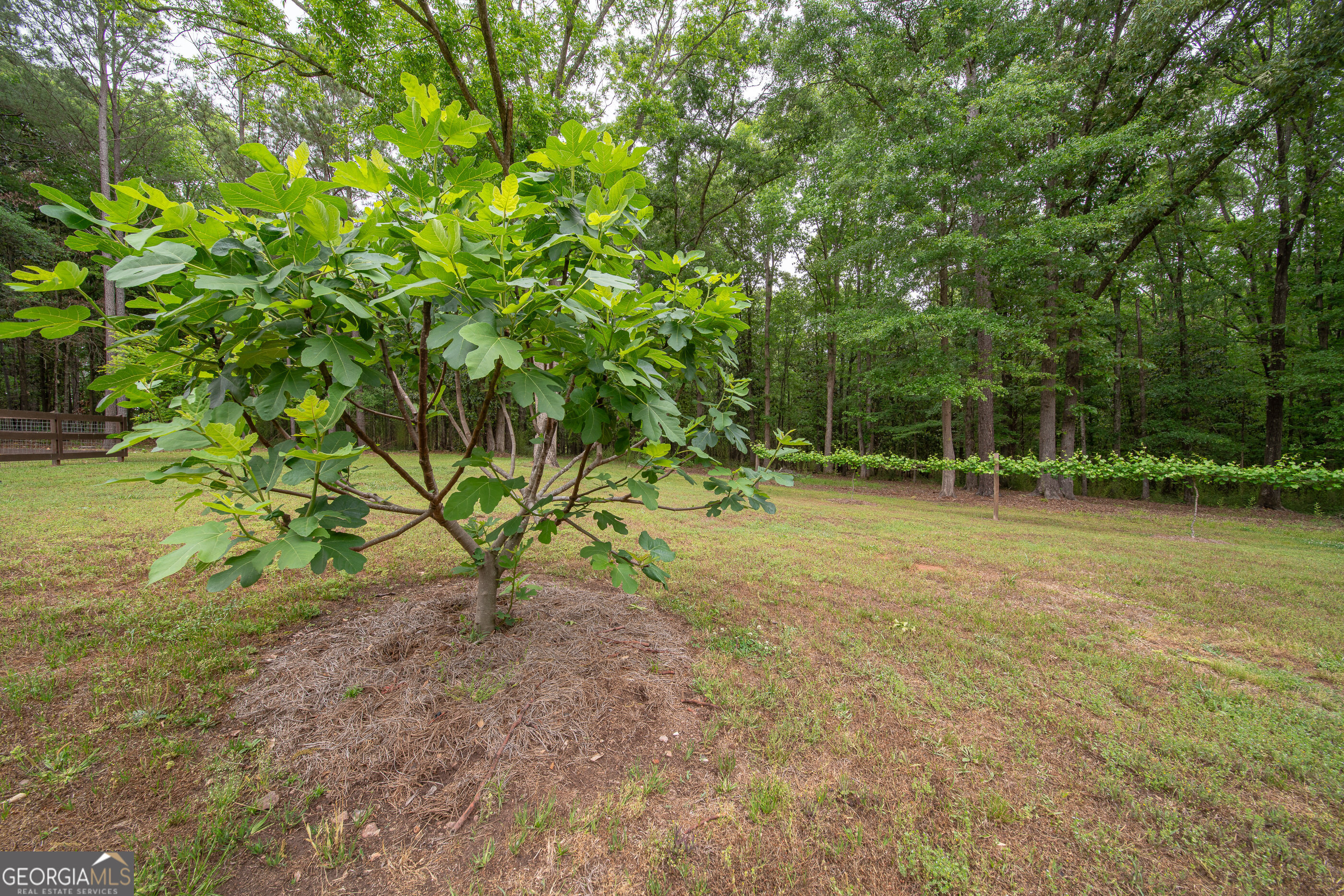 4200 Highway 85 Manchester, GA 31816 - Photo 53 of 58