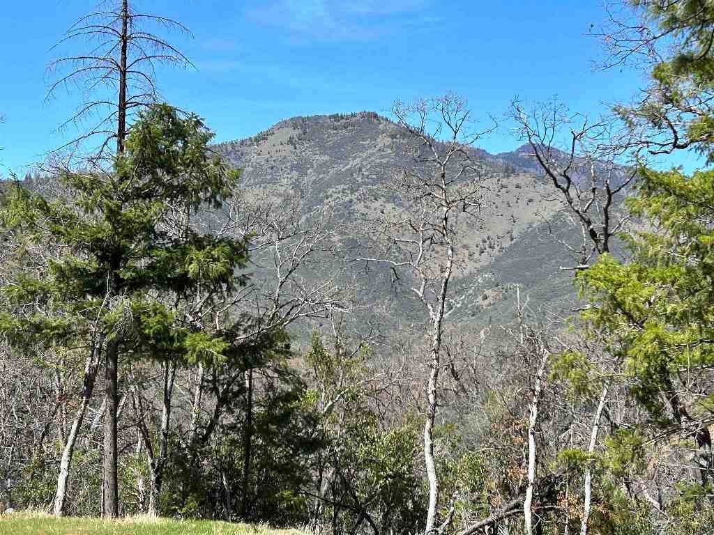 0 Klamth River Road Yreka, CA 96097 - Photo 7 of 23 Gallery Image 7