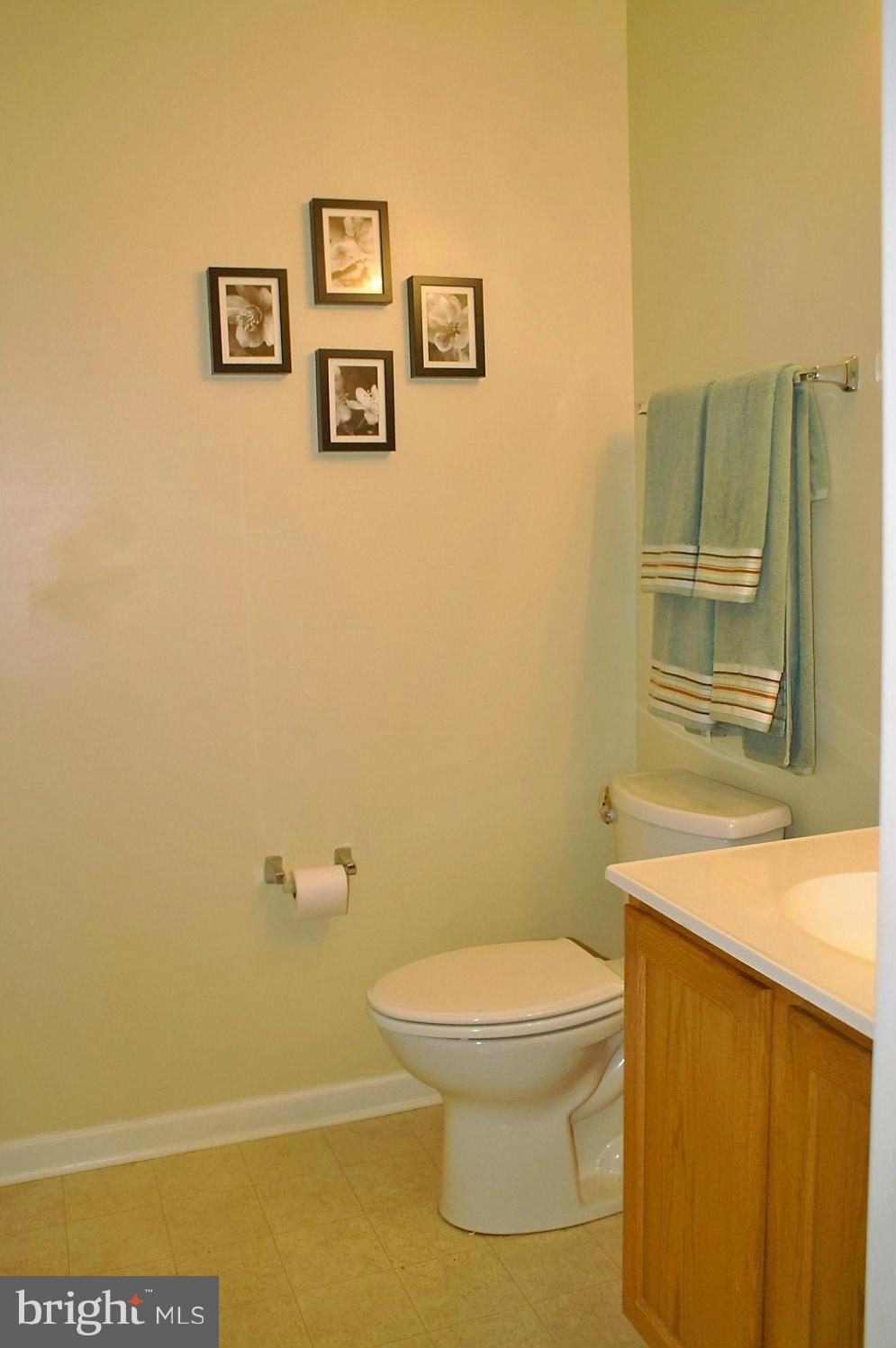 9604 Haven Farm Road, Unit M Perry Hall, MD 21128 - Photo 22 of 27 Bath (Master)
