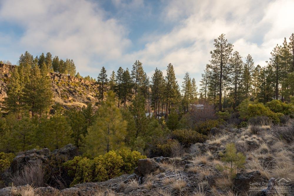 60860 Southwest Headwaters Loop Bend, OR 97702 - Photo 19 of 23 Additional Photo