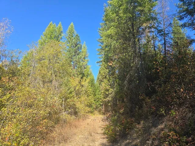 $633,000 | 3-xxx Sand Creek Road, Kettle Falls, WA 99141