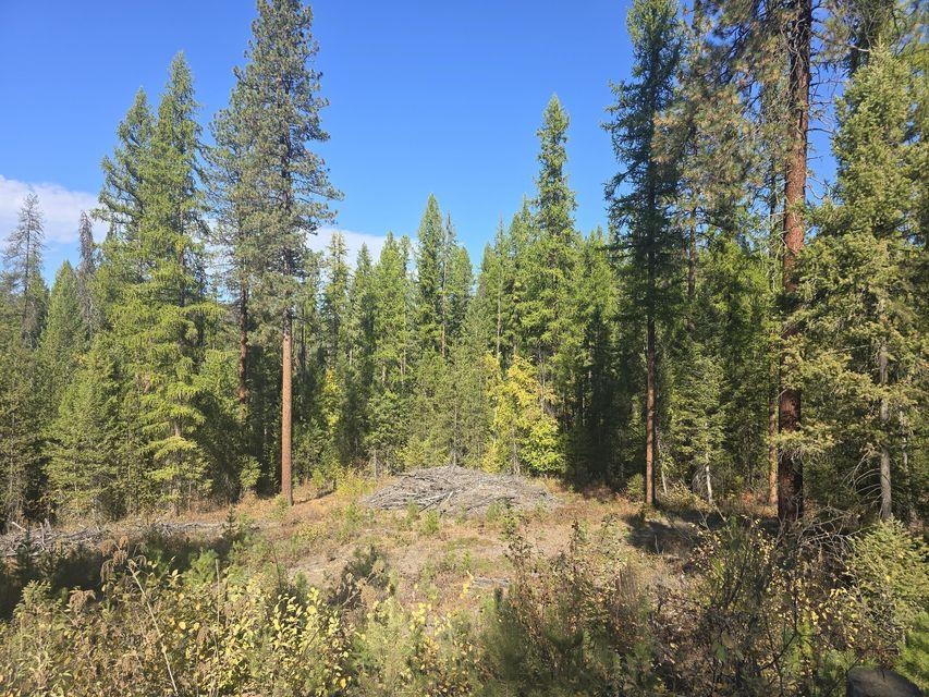 3-xxx Sand Creek Road Kettle Falls, WA 99141 - Photo 11 of 12