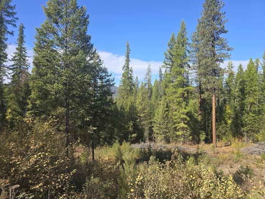 3-xxx Sand Creek Road Kettle Falls, WA 99141 - Photo 12 of 12