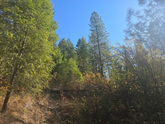 $633,000 | 3-xxx Sand Creek Road, Kettle Falls, WA 99141