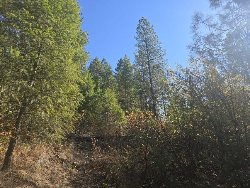 3-xxx Sand Creek Road Kettle Falls, WA 99141 - Photo 3 of 12