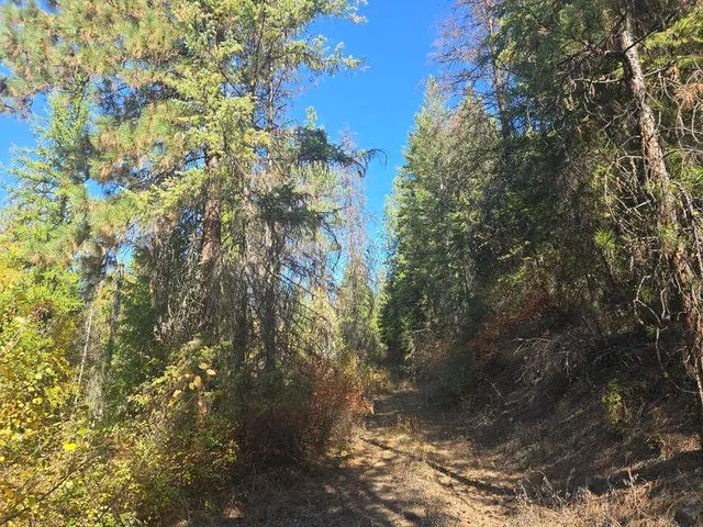 $633,000 | 3-xxx Sand Creek Road, Kettle Falls, WA 99141