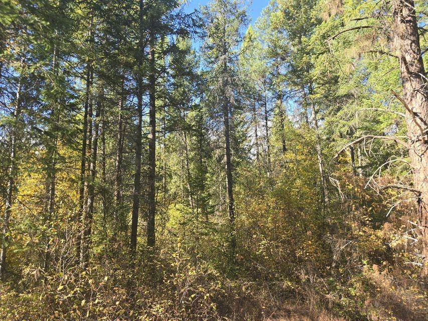 3-xxx Sand Creek Road Kettle Falls, WA 99141 - Photo 5 of 12