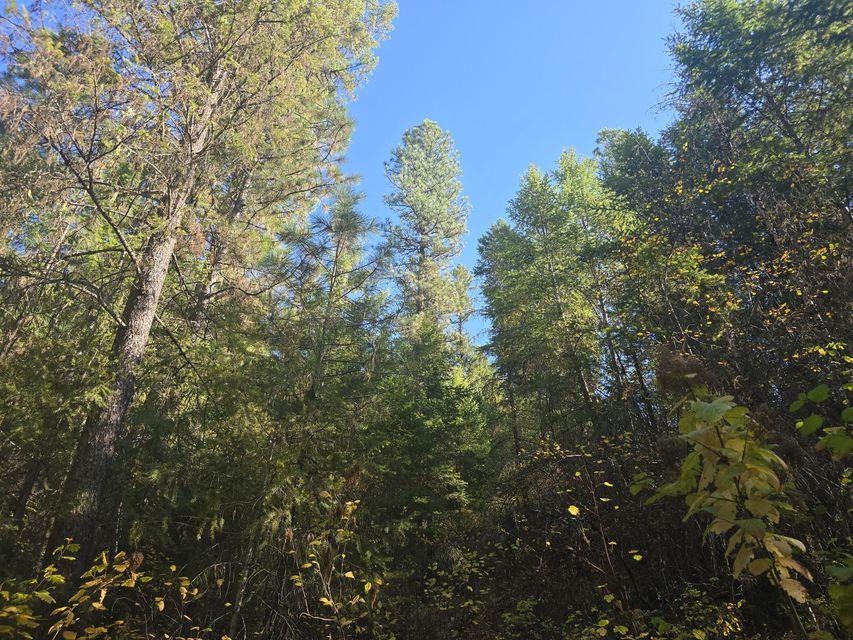 3-xxx Sand Creek Road Kettle Falls, WA 99141 - Photo 6 of 12