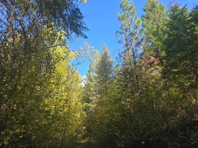 $633,000 | 3-xxx Sand Creek Road, Kettle Falls, WA 99141