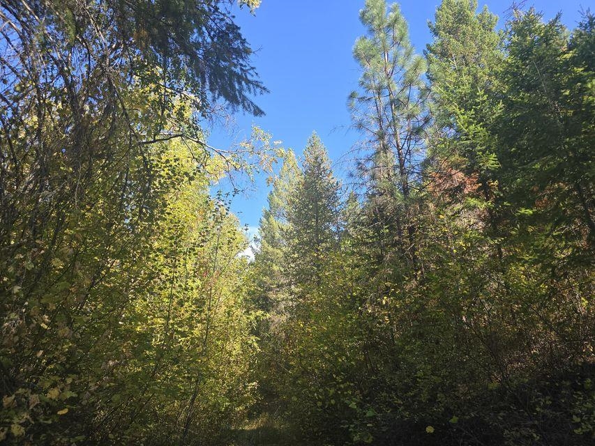 3-xxx Sand Creek Road Kettle Falls, WA 99141 - Photo 8 of 12