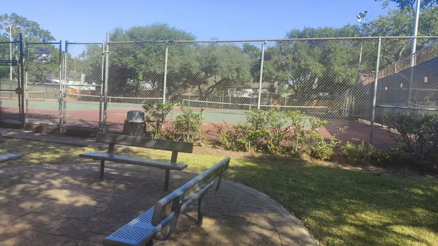 a view of a swimming pool with a yard and palm trees