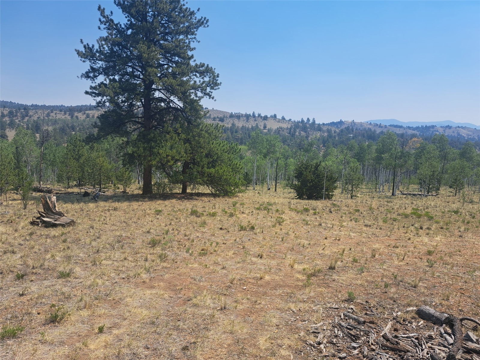 2338 Fitzsimmons Road Hartsel, CO 80449 - Photo 16 of 32