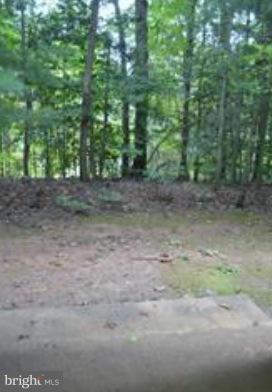 11607 Stoneview Square, Unit 2B Reston, VA 20191 - Photo 17 of 20 a view of a yard with lots of green space