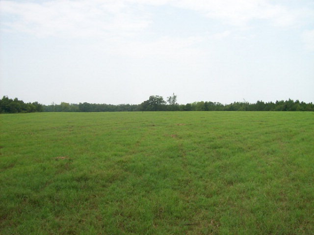 0 Co Road Pansey, AL 36370 - Photo 1 of 1