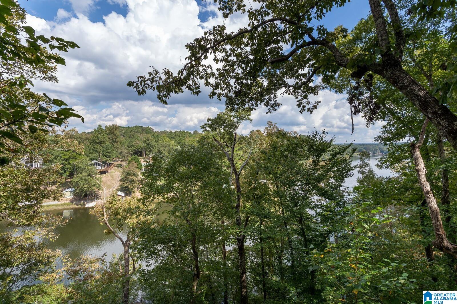 205 West Sunset Boulevard Oneonta, AL 35121 - Photo 36 of 50