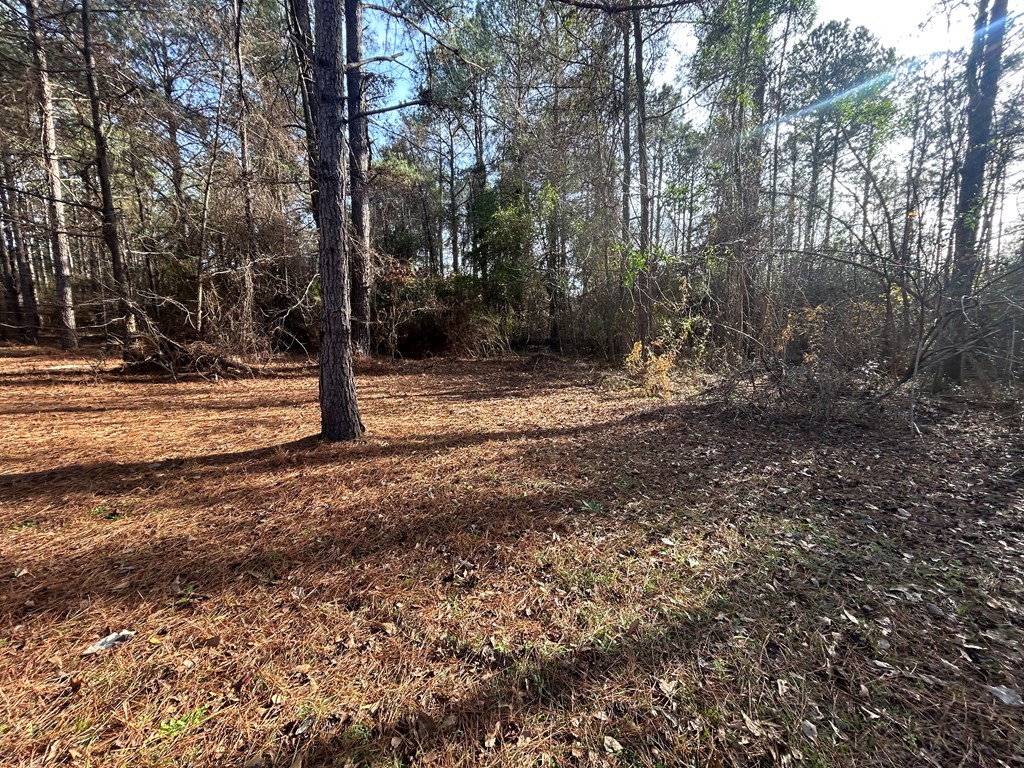 107 Oswichee Road Fort Mitchell, AL 36856 - Photo 46 of 56 Gallery Image 46