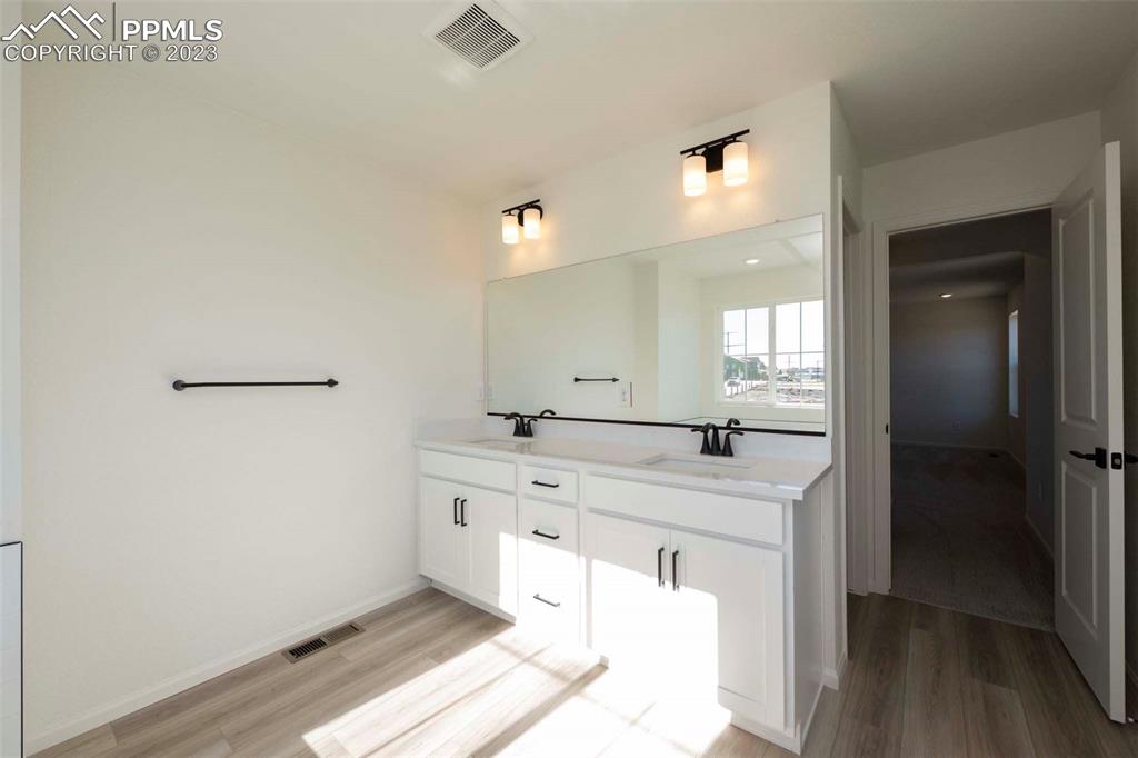 2039 Peachleaf Loop Castle Rock, CO 80108 - Photo 22 of 23 a large bathroom with a sink a mirror and a bathtub